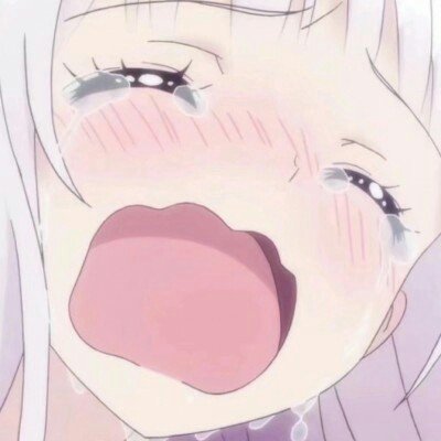 鹿晗小七预售